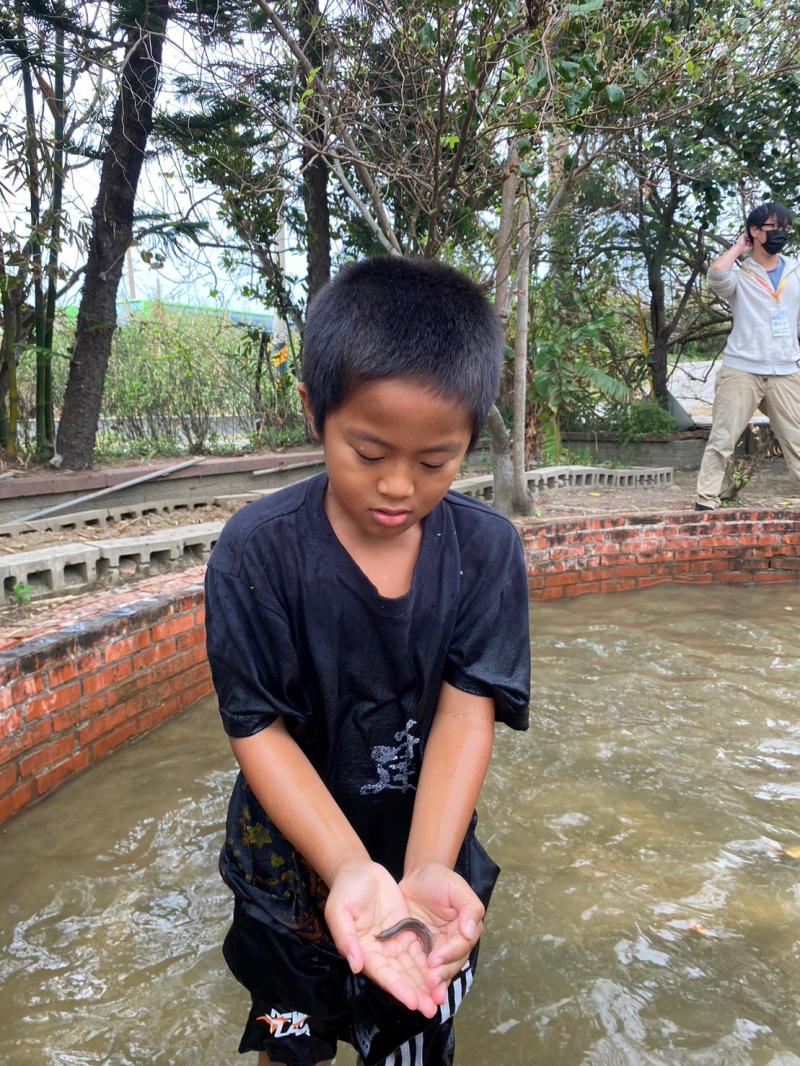 小學伴抓泥鰍