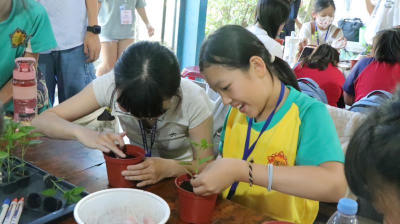 有機蔬菜種植DIY