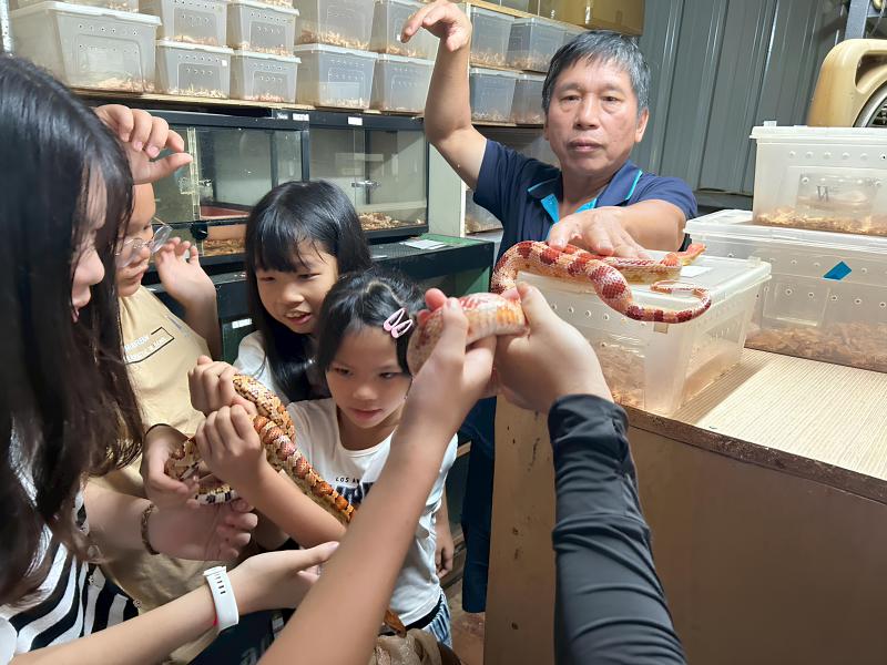 帶領大小學伴到蛇房近距離觀察各種蛇類的行為與生活環境。